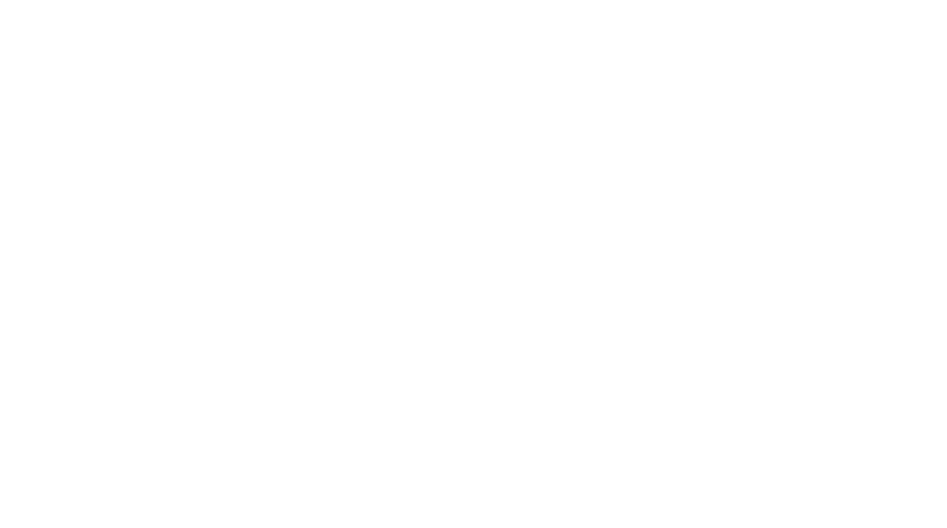 Run Date